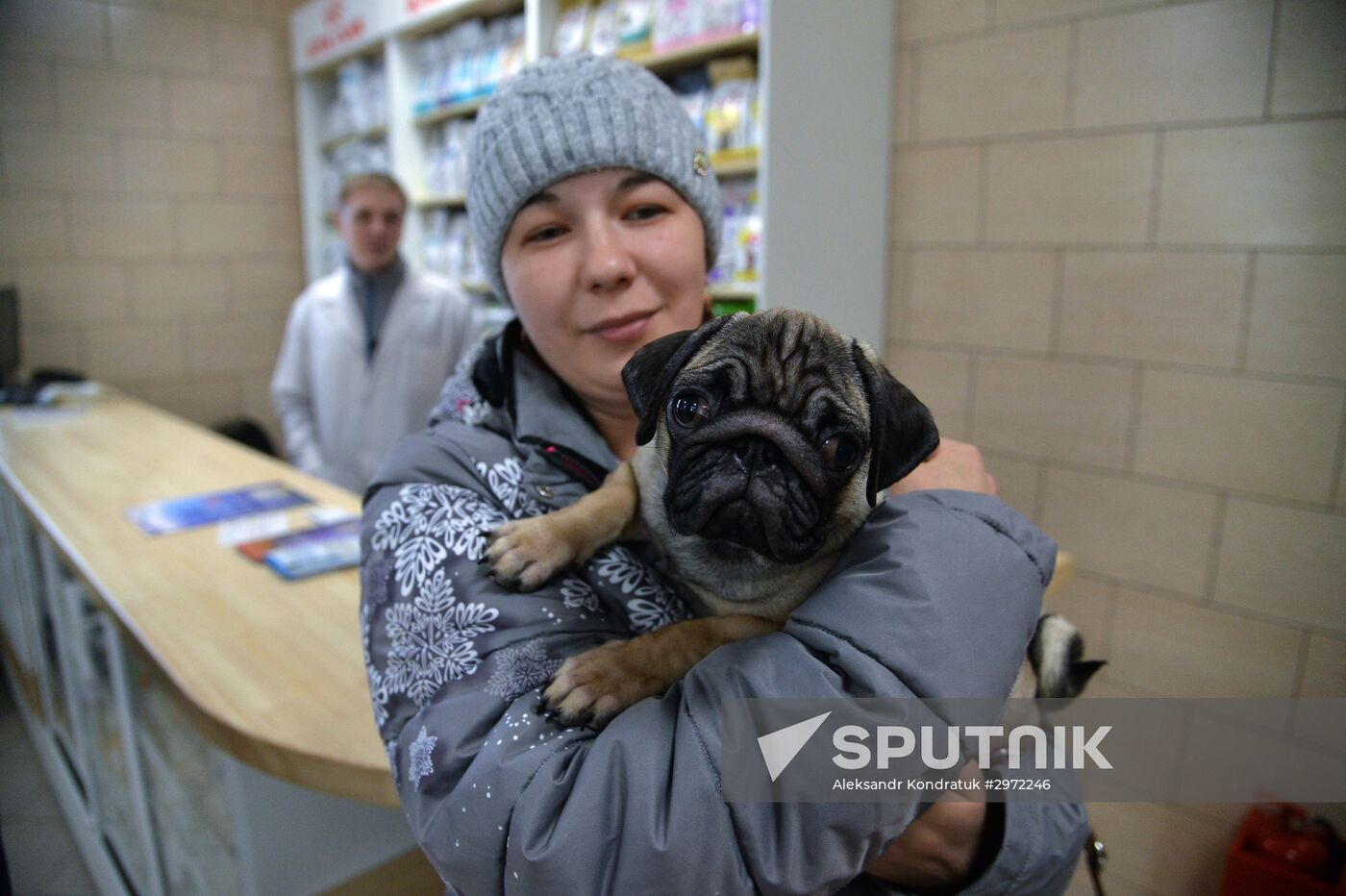 Chelyabinsk Veterinary Center