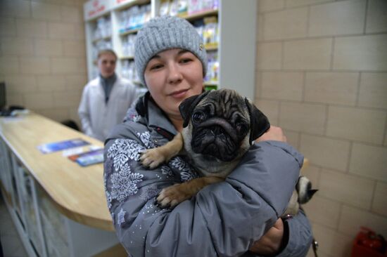 Chelyabinsk Veterinary Center