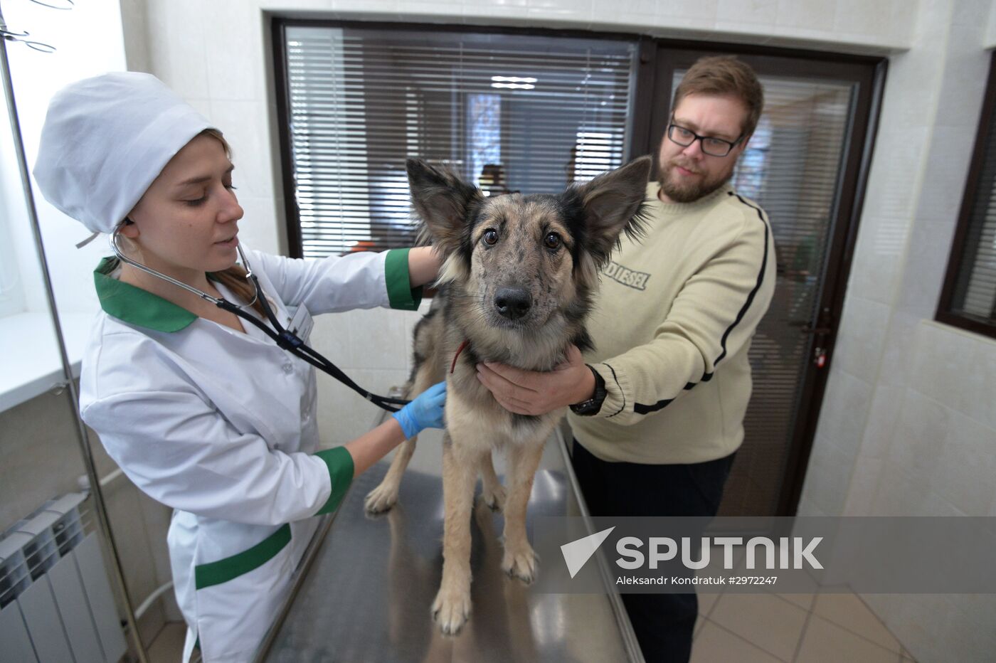 Chelyabinsk Veterinary Center