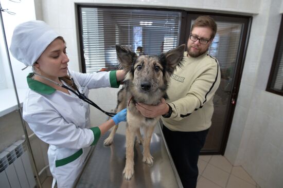 Chelyabinsk Veterinary Center