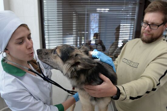 Chelyabinsk Veterinary Center