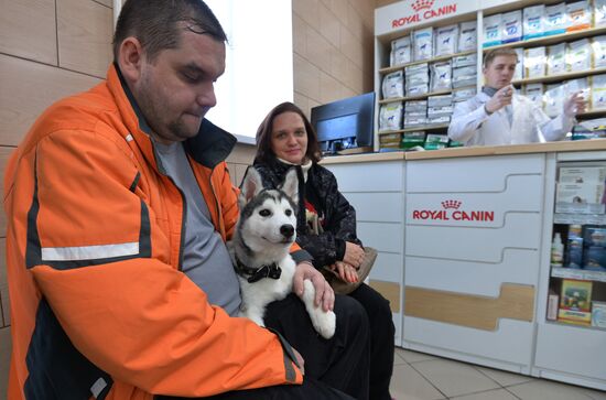 Chelyabinsk Veterinary Center