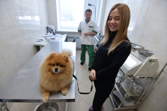 Chelyabinsk Veterinary Center