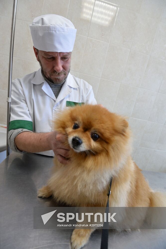 Chelyabinsk Veterinary Center