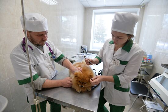Chelyabinsk Veterinary Center
