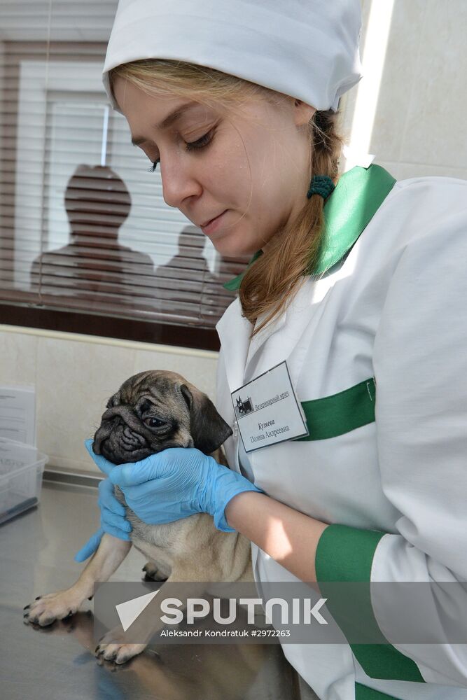 Chelyabinsk Veterinary Center