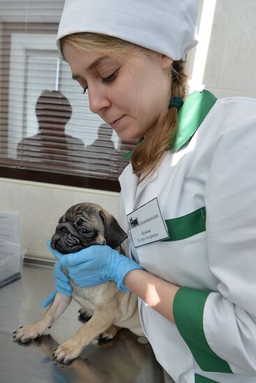 Chelyabinsk Veterinary Center