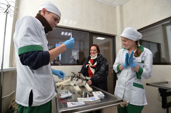 Chelyabinsk Veterinary Center