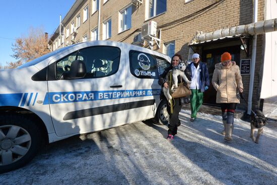 Chelyabinsk Veterinary Center