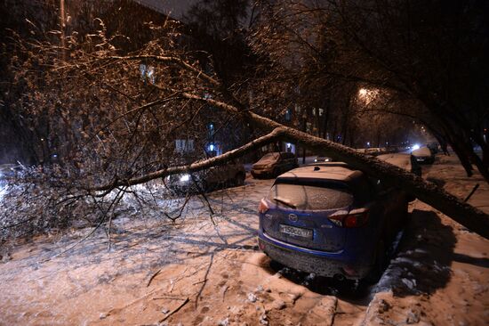 Car traffic in Moscow