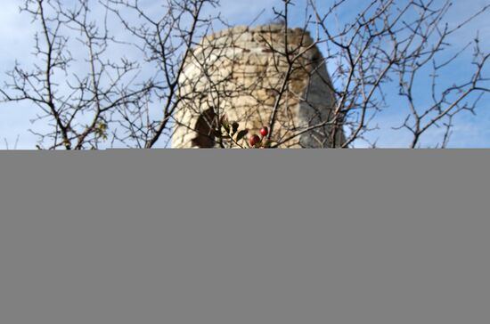 Russian regions. Crimea