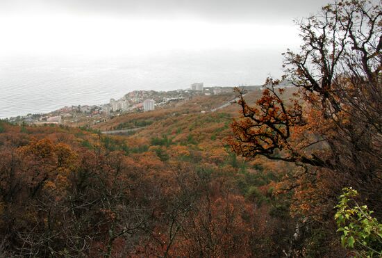 Russian regions. Crimea