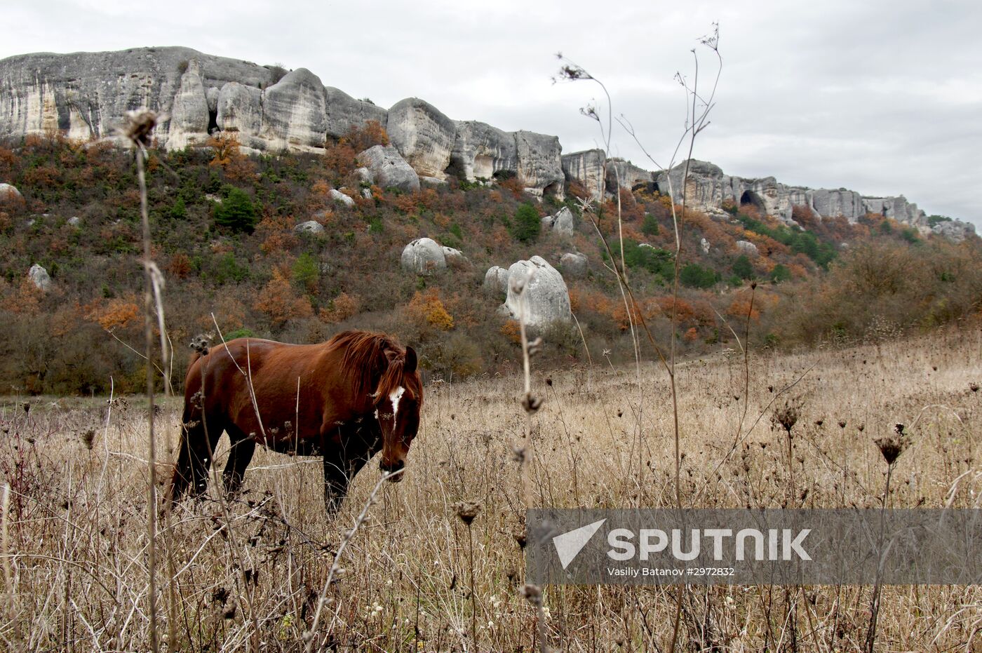 Russian regions. Crimea