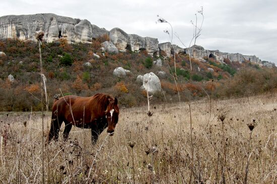 Russian regions. Crimea