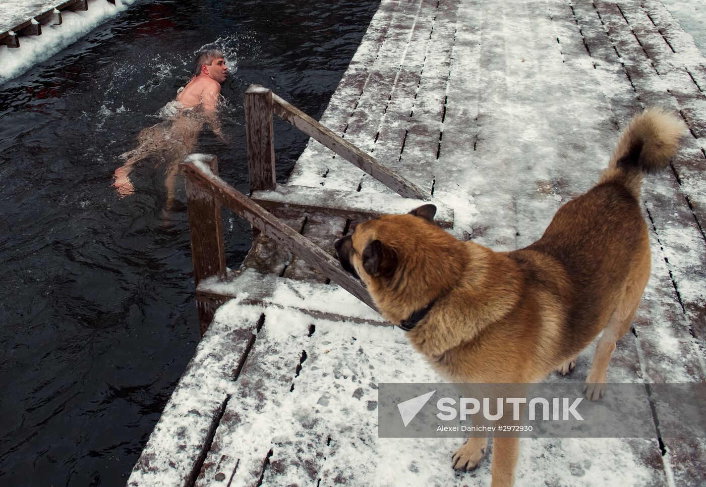 Ledostav (Freezing Over) winter swimming festival in St. Petersburg