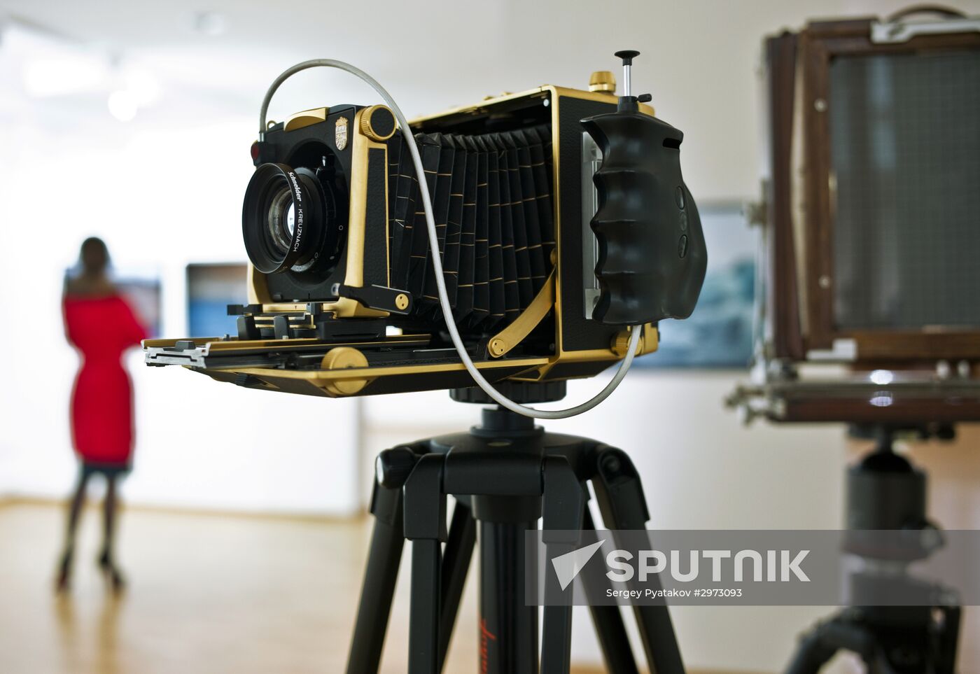 Photo technique collection of classic photography gallery