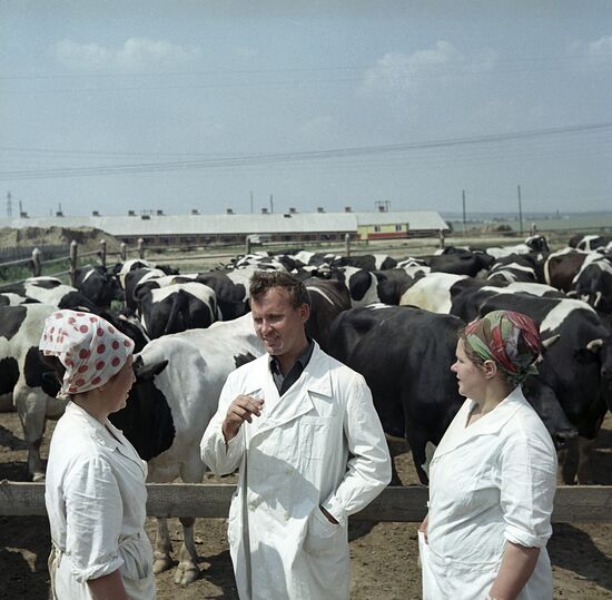 Lenin Collective Farm in the Moscow region