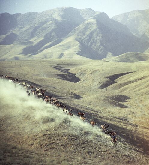 Ashgabat Horse-Breeding Center "Komsomol"