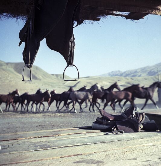 Ashgabat Horse-Breeding Center "Komsomol"