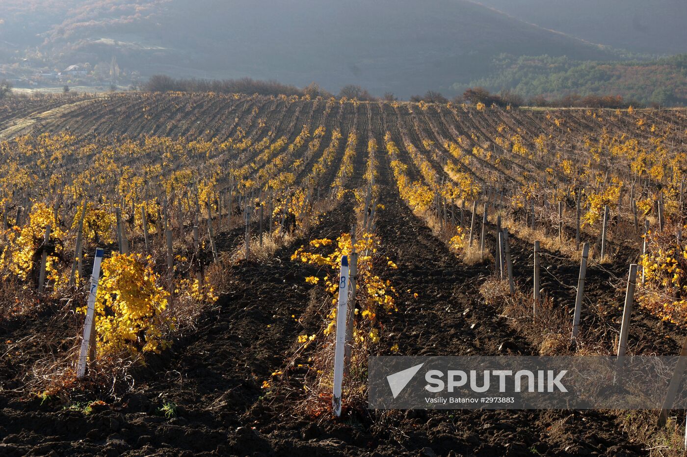 Russian regions. Crimea