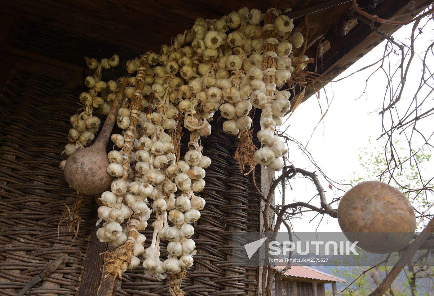 Production of adjika sauce in Abkhazia
