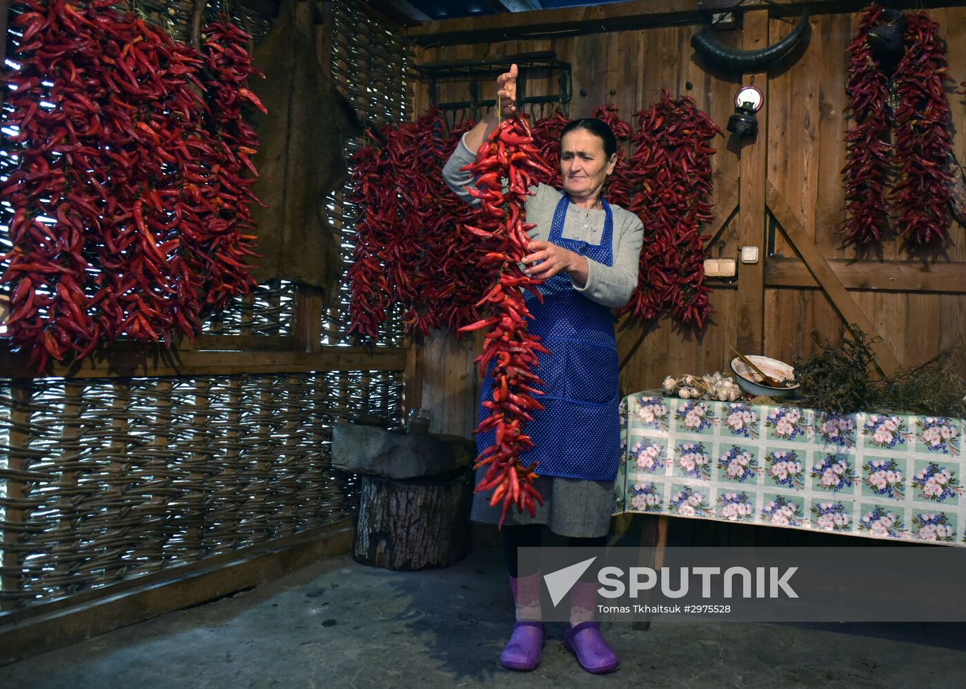 Production of adjika sauce in Abkhazia