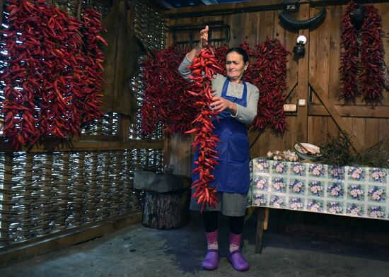 Production of adjika sauce in Abkhazia