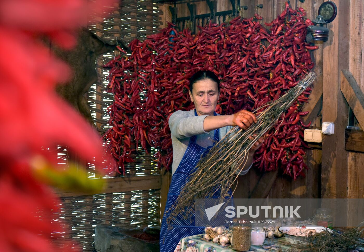 Production of adjika sauce in Abkhazia