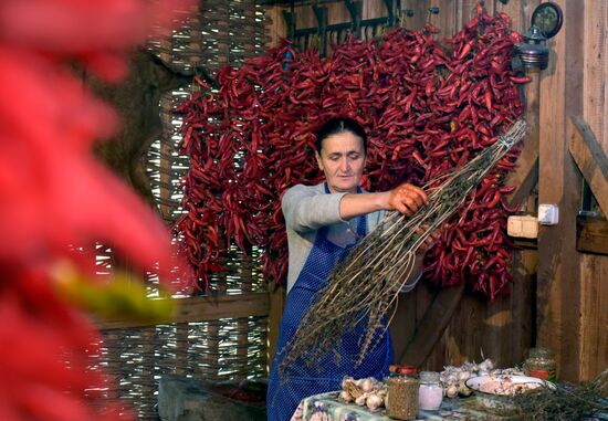 Production of adjika sauce in Abkhazia