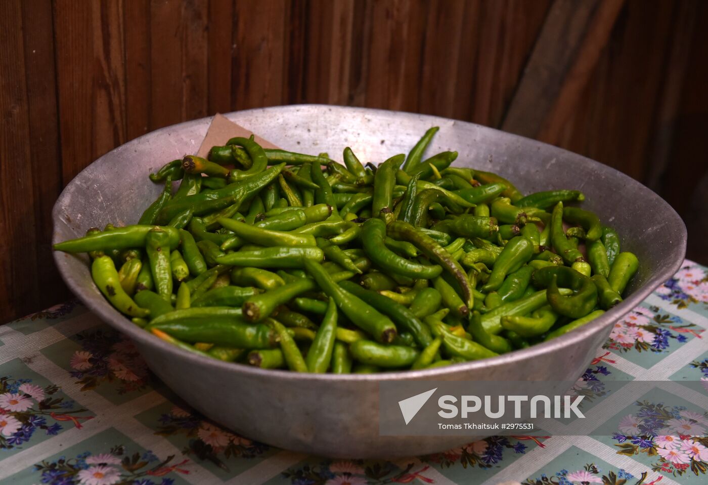 Production of adjika sauce in Abkhazia