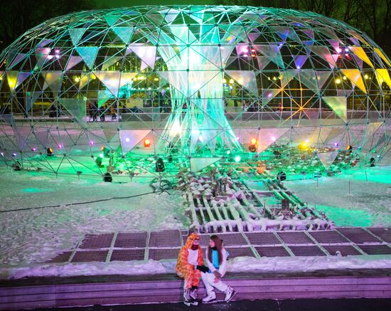 Street Rink opened for skating in Gorky Park