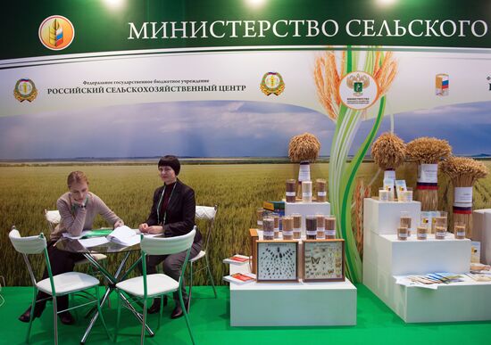 2nd World Grain Forum in Sochi. Day One