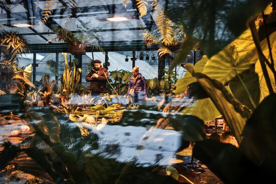 Greenhouse with tropical water lilies opened in Moscow State University's Botanic Garden (Apothecary Garden)