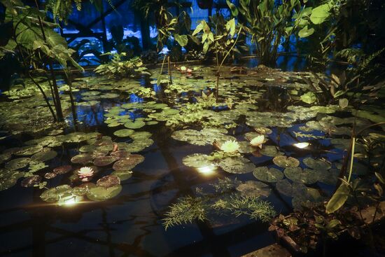 Greenhouse with tropical water lilies opened in Moscow State University's Botanic Garden (Apothecary Garden)