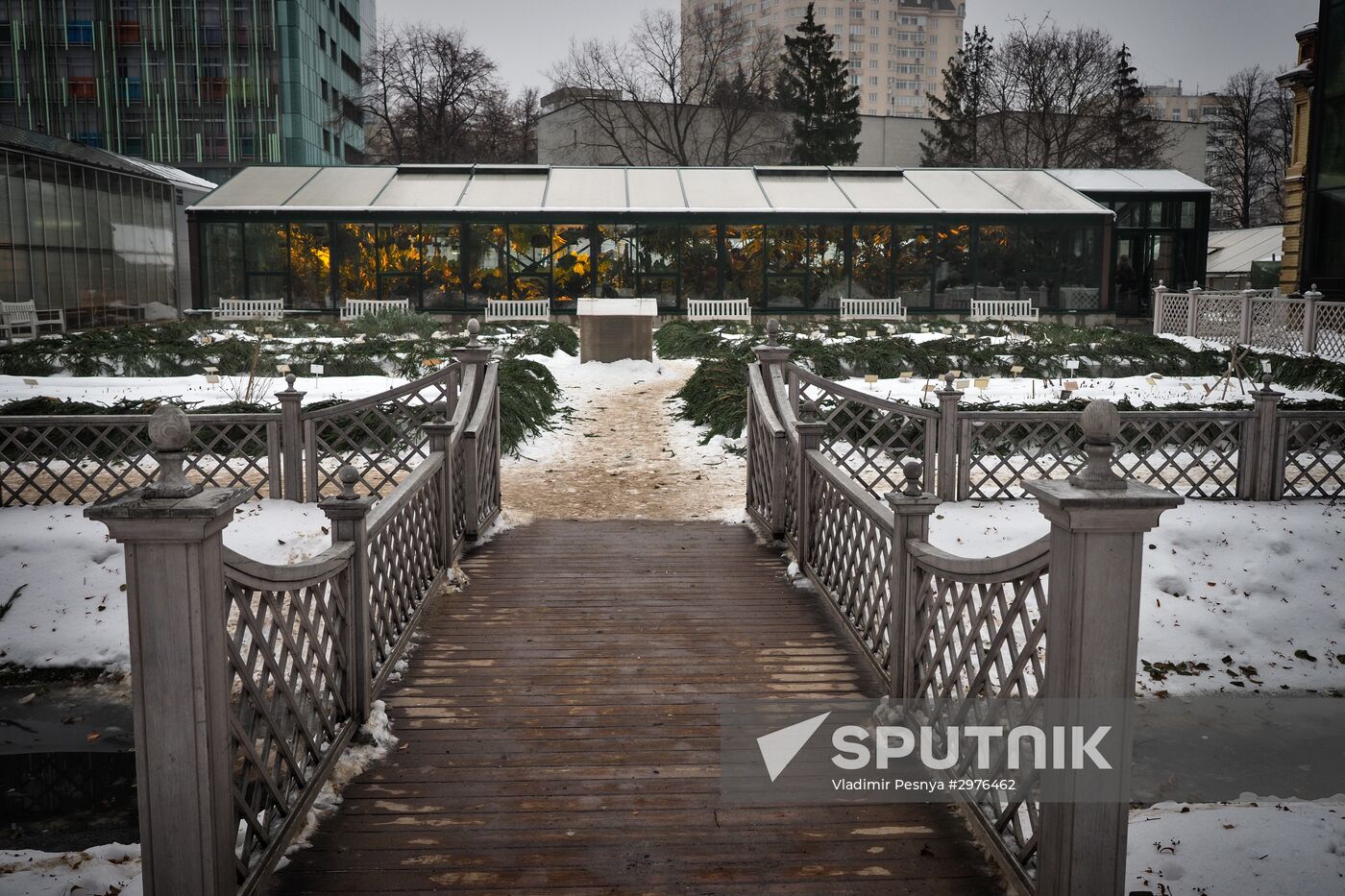 Greenhouse with tropical water lilies opened in Moscow State University's Botanic Garden (Apothecary Garden)