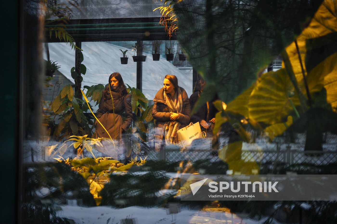 Greenhouse with tropical water lilies opened in Moscow State University's Botanic Garden (Apothecary Garden)