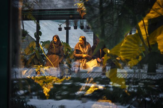 Greenhouse with tropical water lilies opened in Moscow State University's Botanic Garden (Apothecary Garden)