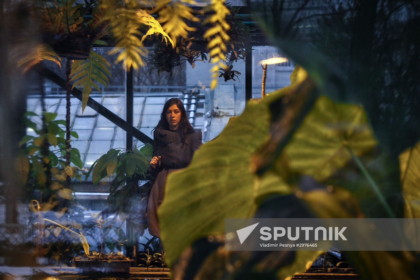Greenhouse with tropical water lilies opened in Moscow State University's Botanic Garden (Apothecary Garden)