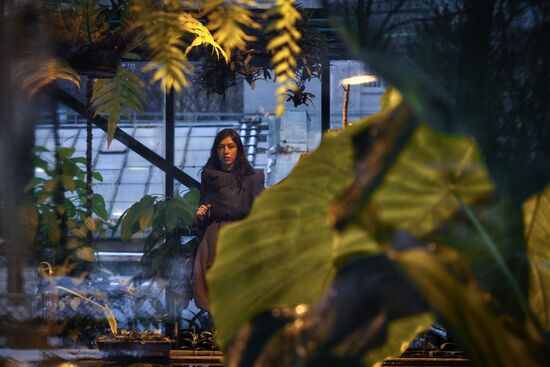 Greenhouse with tropical water lilies opened in Moscow State University's Botanic Garden (Apothecary Garden)
