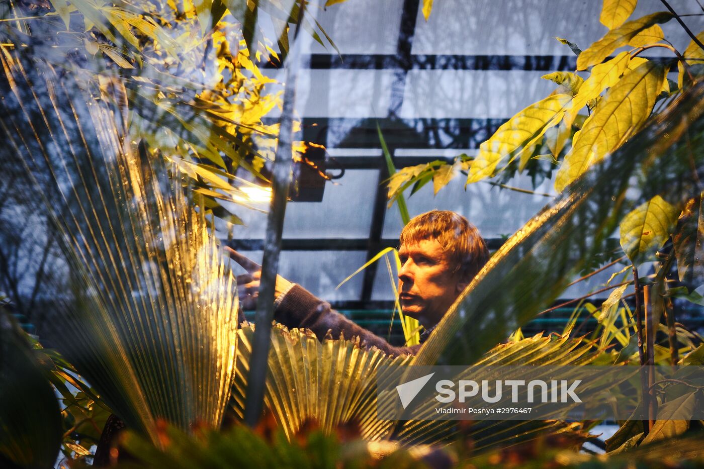 Greenhouse with tropical water lilies opened in Moscow State University's Botanic Garden (Apothecary Garden)
