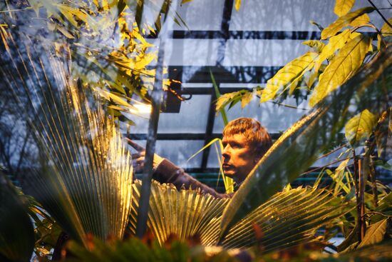 Greenhouse with tropical water lilies opened in Moscow State University's Botanic Garden (Apothecary Garden)