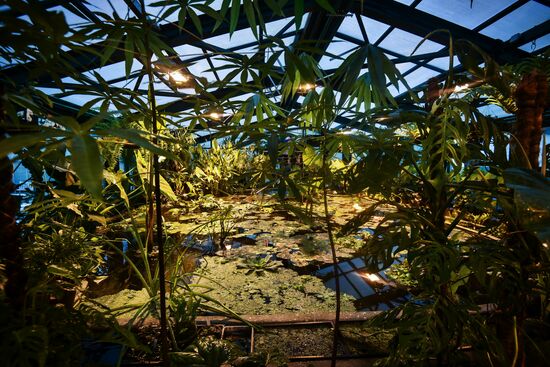 Greenhouse with tropical water lilies opened in Moscow State University's Botanic Garden (Apothecary Garden)