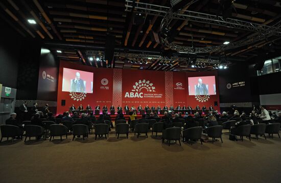 Russian President Vladimir Putin takes part in APEC Summit in Peru