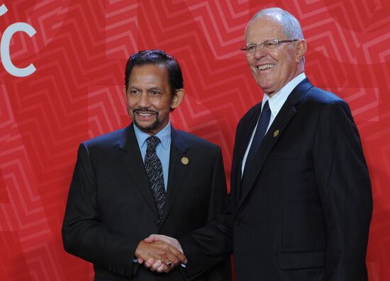 Russian President Vladimir Putin takes part in APEC Summit in Peru