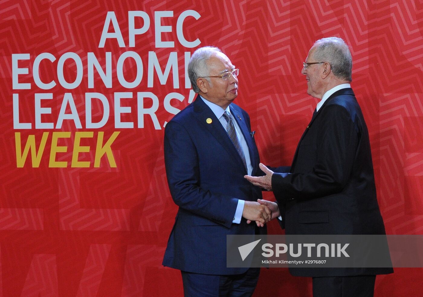 Russian President Vladimir Putin takes part in APEC Summit in Peru
