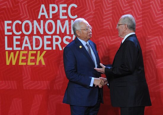 Russian President Vladimir Putin takes part in APEC Summit in Peru