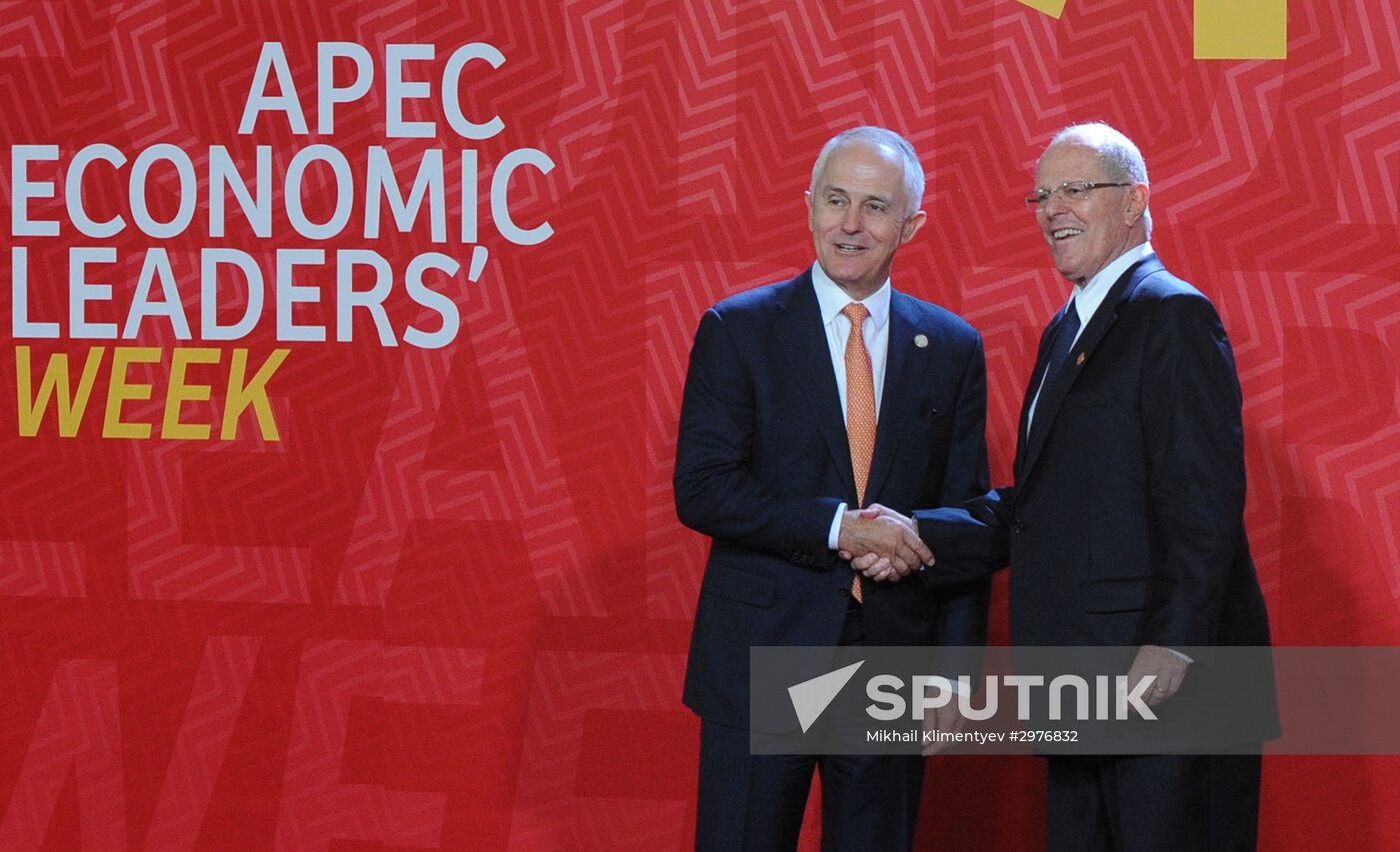 Russian President Vladimir Putin takes part in APEC Summit in Peru