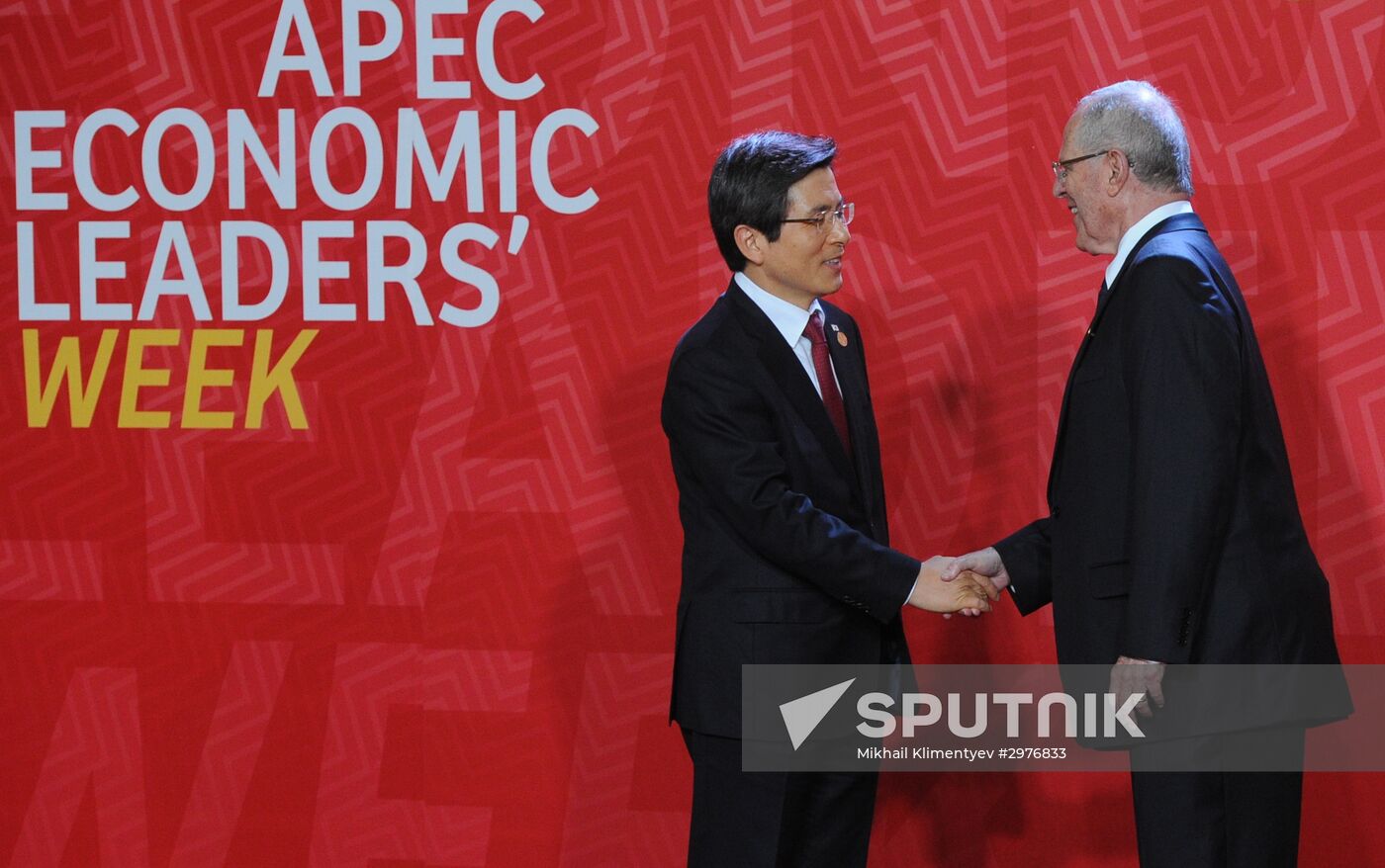 Russian President Vladimir Putin takes part in APEC Summit in Peru