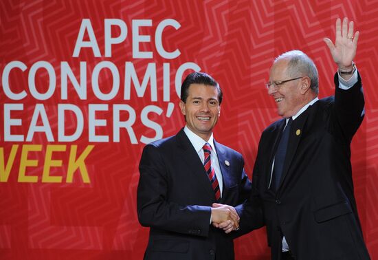 Russian President Vladimir Putin takes part in APEC Summit in Peru