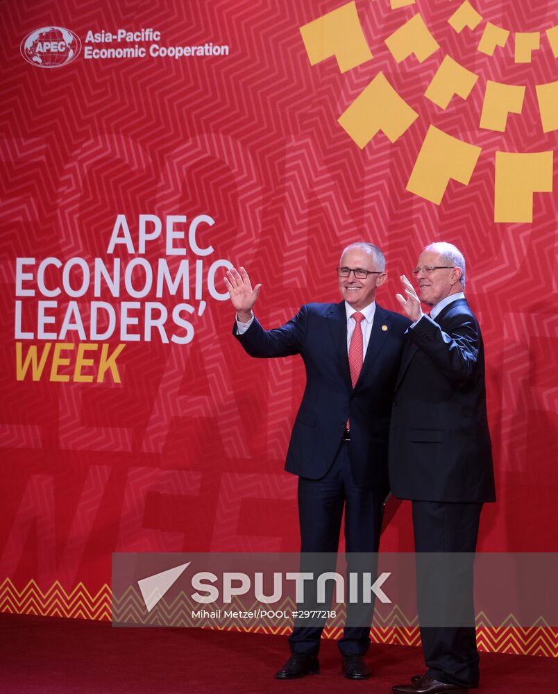 Presient Putin at APEC Summit in Peru. Day Two